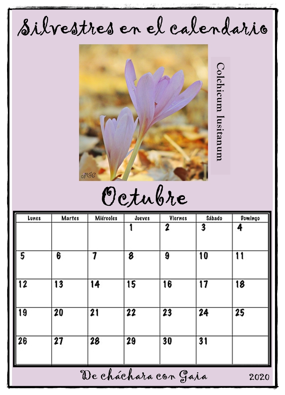 Calendario octubre